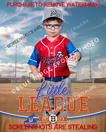 CANNONBALLERS.TBALL 008 of 14