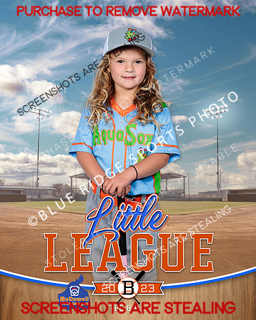 AQUASOCKS.TBALL 011 of 15