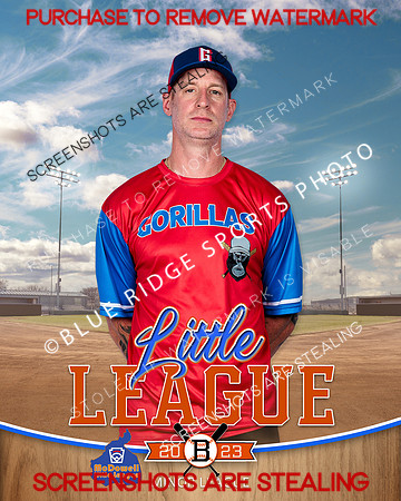 GORILLAS.MINORS.BASEBALL 003 of 10