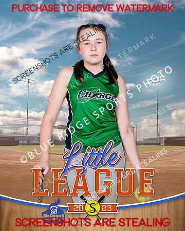 CHARGE.MAJORS.SOFTBALL 008 of 12