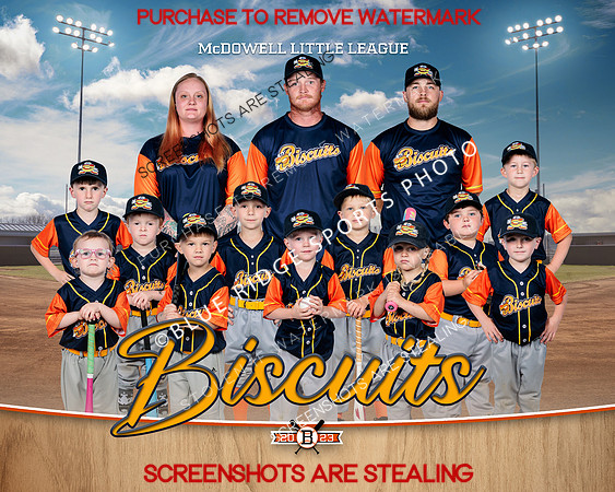 1 Biscuits