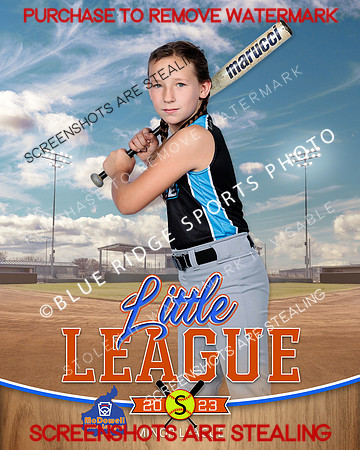 FORCE.MINORS.SOFTBALL 005 of 12