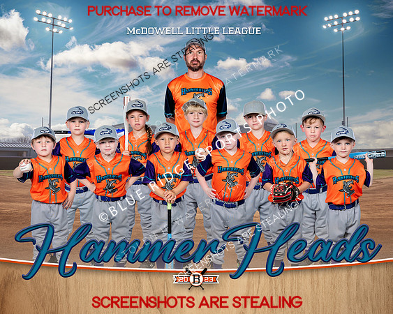 1 Hammerheads