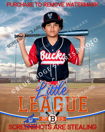 BUCKS.MAJORS.BASEBALL 005 of 12