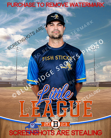 FISHSTICKS.TBALL 004 of 16