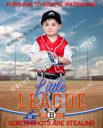 BOBBERS.TBALL 012 of 12