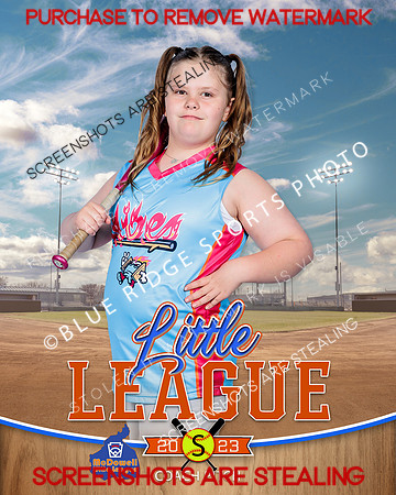 VIBES.CP.SOFTBALL 008 of 12