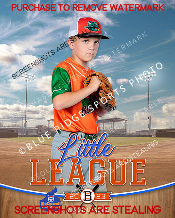 BULLFROGS.MINORS.BASEBALL 002 of 10