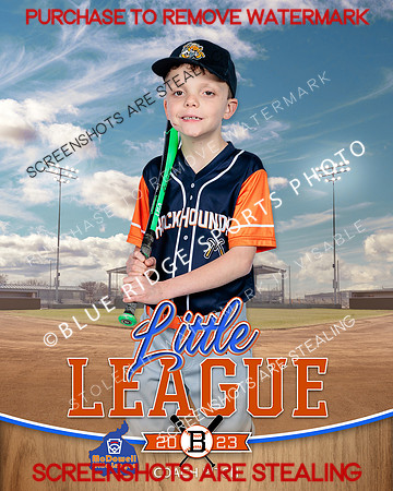 ROCKHOUNDS.CP.BASEBALL 006 of 14