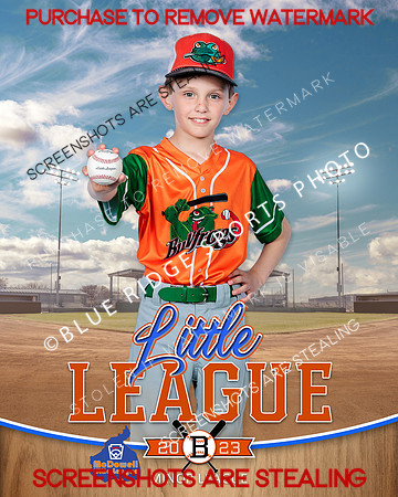BULLFROGS.IND 003 of 10