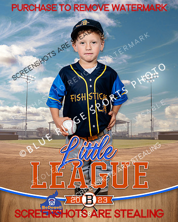 FISHSTICKS.TBALL 005 of 16