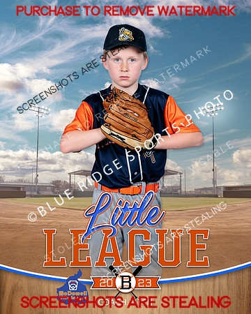 ROCKHOUNDS.CP.BASEBALL 013 of 14