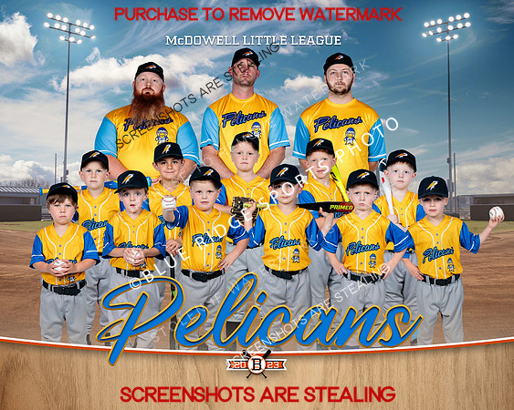 1 Pelicans