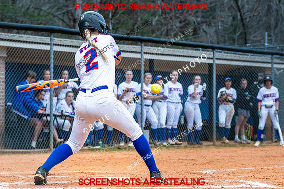 TITAN SOFTBALL VS NORTH BUNCOMBE 3.22.22 (11 of 30)