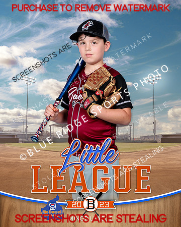 BACON.MINORS.BASEBALL 001 of 4