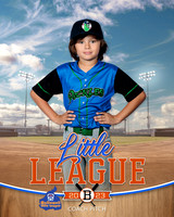 PICKLES.CP.BASEBALL 007 of 14