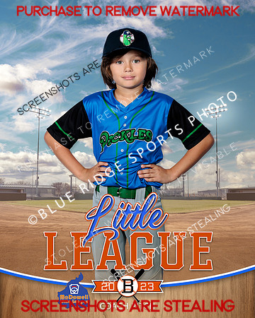 PICKLES.CP.BASEBALL 007 of 14