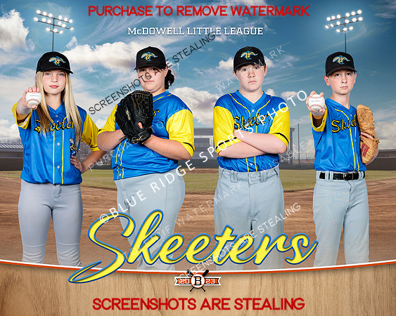 1 Skeeters