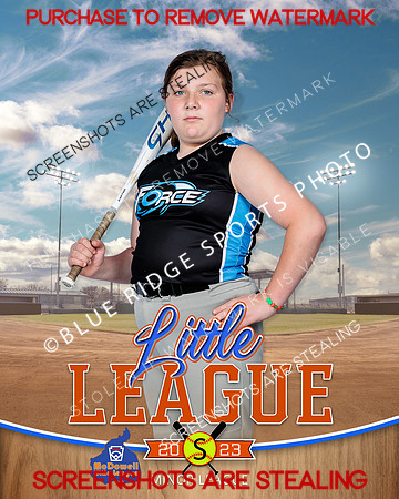 FORCE.MINORS.SOFTBALL 009 of 12