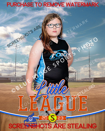 FORCE.MINORS.SOFTBALL 007 of 12