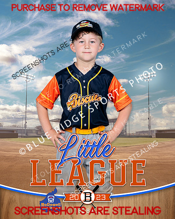 BISCUITS.TBALL 007 of 14