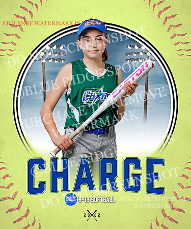 CHARGE 043 of 52