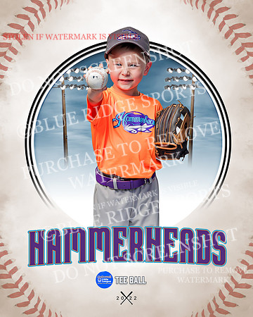 HAMMERHEADS 002 of 42
