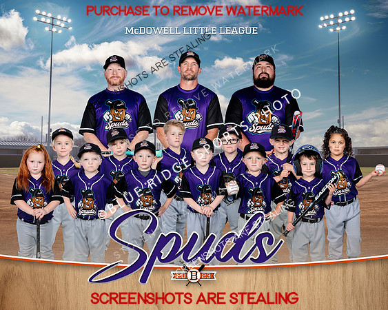 1 Spuds
