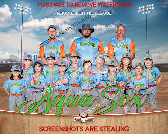 1 aqua sox