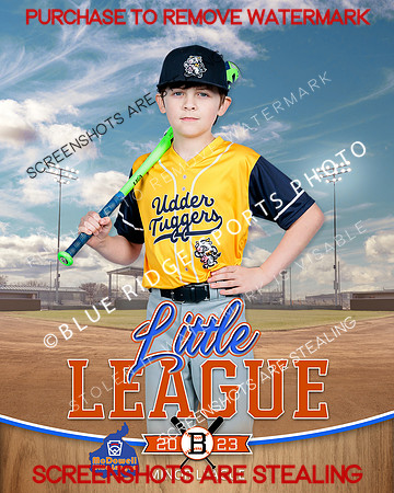 UDDERTUGGERS.MINORS.BASEBALL 003 of 8