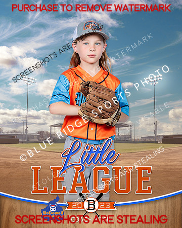 HOTRODS.CP.BASEBALL 015 of 15