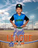 PICKLES.CP.BASEBALL 004 of 14