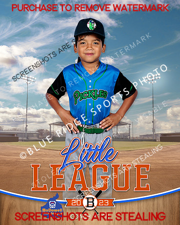 PICKLES.CP.BASEBALL 004 of 14
