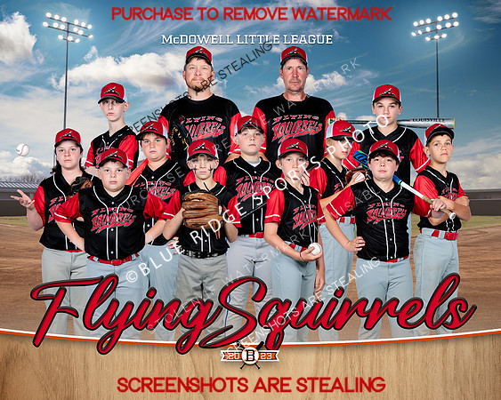 1 Flying squirrels