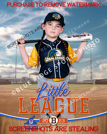 LEGALEAGLES.CP.BASEBALL 002 of 12