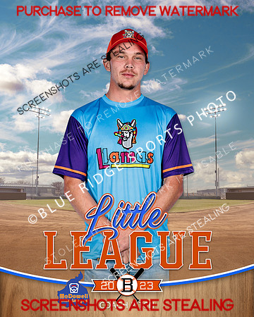 LLAMAS.CP.BASEBALL 007 of 13