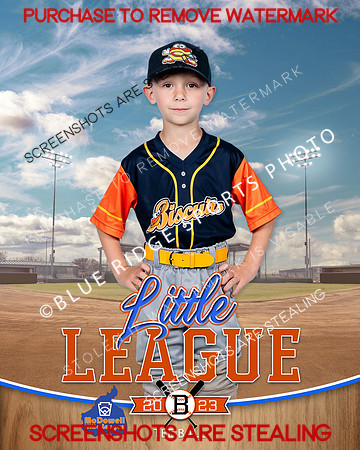 BISCUITS.TBALL 014 of 14