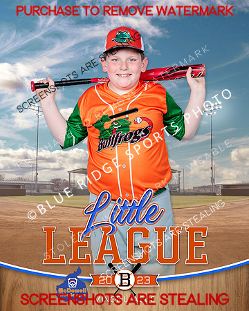BULLFROGS.IND 001 of 10