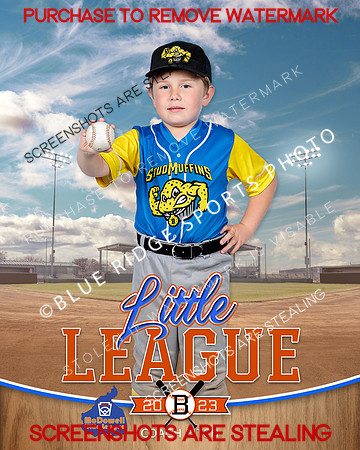 STUDMUFFINS.CP.BASEBALL 013 of 14
