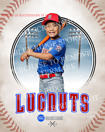 LUGNUTS 018 of 40