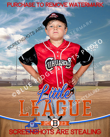 CHIHUAHUAS.CP.BASEBALL 003 of 15