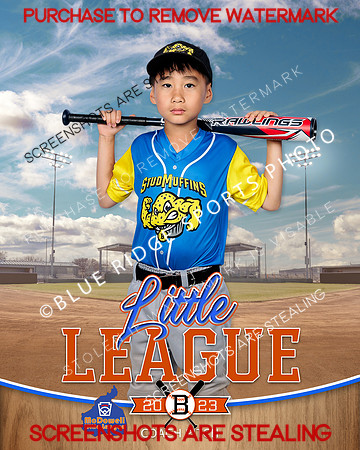 STUDMUFFINS.CP.BASEBALL 001 of 14