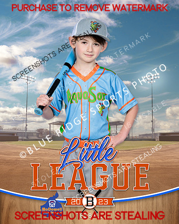 AQUASOCKS.TBALL 009 of 15