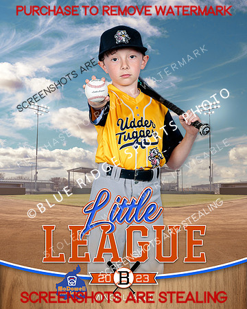 UDDERTUGGERS.MINORS.BASEBALL 001 of 8