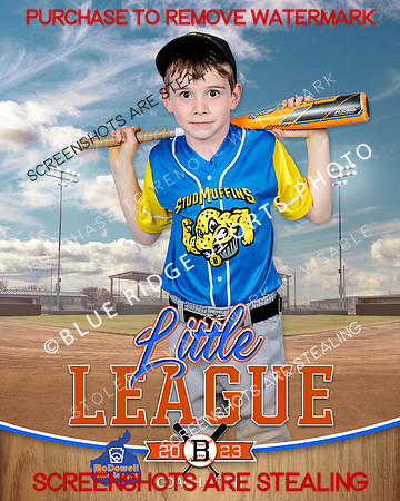 STUDMUFFINS.CP.BASEBALL 004 of 14