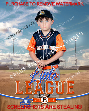 ROCKHOUNDS.CP.BASEBALL 004 of 14