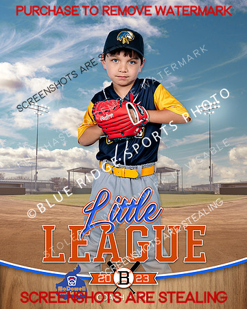 LEGALEAGLES.CP.BASEBALL 008 of 12