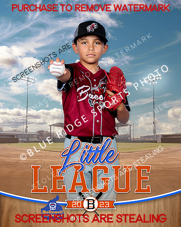 BACON.MINORS.BASEBALL 003 of 4