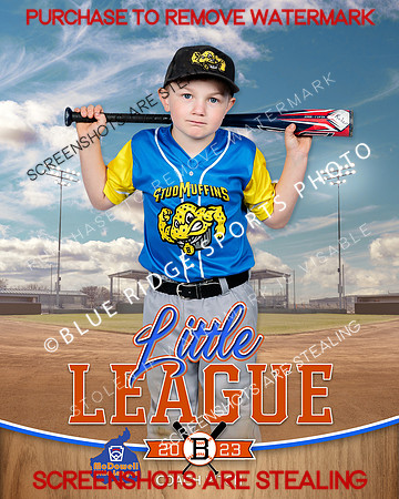 STUDMUFFINS.CP.BASEBALL 010 of 14