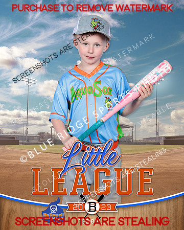AQUASOCKS.TBALL 004 of 15